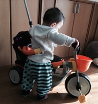 カーゴの三輪車に乗ろうとしている10ヶ月児